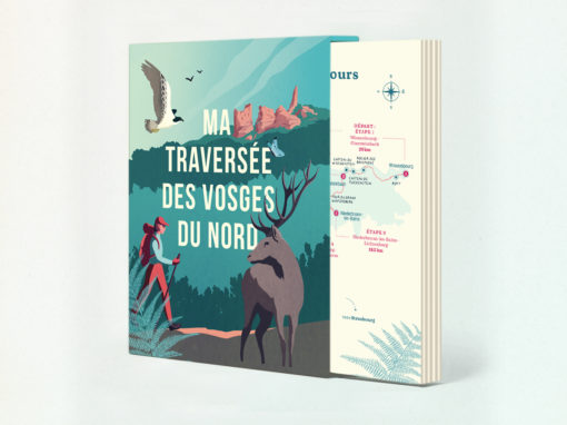 Ma Traversée des Vosges du Nord